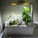 Image for article titled Click and Grow Smart Farm Review: Idiot-Proof Indoor Farming